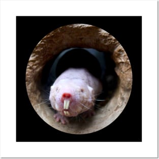 Naked Mole Rat Posters and Art